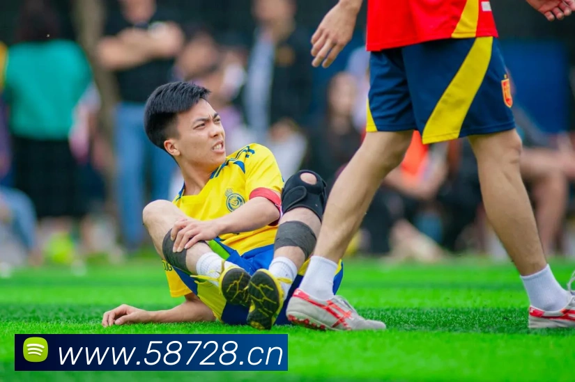 星空体育官方在线登录平台生态图